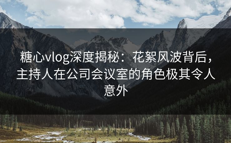 糖心vlog深度揭秘：花絮风波背后，主持人在公司会议室的角色极其令人意外