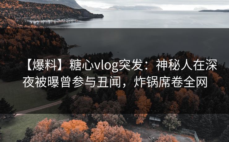 【爆料】糖心vlog突发：神秘人在深夜被曝曾参与丑闻，炸锅席卷全网